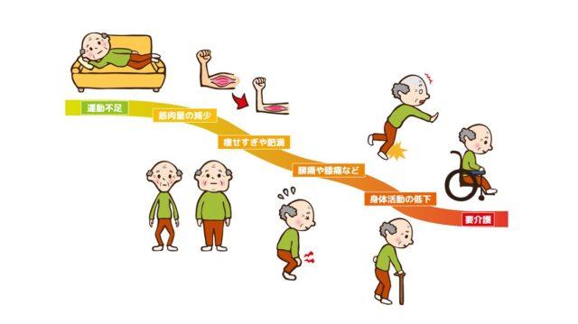 サルコペニア・フレイルとは？介護予防との関係と日常ケアでできることを解説